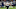 Chicago Bears, Jesper Horsted Chicago Bears, Jesper Horsted