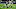 Chicago Bears, Jaylon Johnson Chicago Bears, Jaylon Johnson