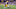 Chicago Bears, Kayshon Boutte Chicago Bears, Kayshon Boutte