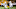 Chicago Bears, Rasheed Walker Chicago Bears, Rasheed Walker