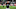 Chicago Bears, Carl Nassib Chicago Bears, Carl Nassib