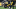 Chicago Bears, Roquan Smith Chicago Bears, Roquan Smith