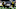 Chicago Bears, Cassius Marsh Chicago Bears, Cassius Marsh