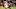 Chicago Bears, Breece Hall Chicago Bears, Breece Hall