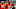 Chicago Bears, B.J. Hill Chicago Bears, B.J. Hill