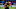 Chicago Bears