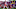 Chicago Bears, Mecole Hardman Chicago Bears, Mecole Hardman