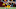 Chicago Bears, Mohamed Ibrahim Chicago Bears, Mohamed Ibrahim