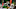Chicago Bears, Dalton Kincaid Chicago Bears, Dalton Kincaid