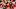 Chicago Bears, Zach Harrison Chicago Bears, Zach Harrison