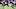 Chicago Bears, Riley Ridley Chicago Bears, Riley Ridley