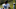 Chicago Bears, Riley Ridley Chicago Bears, Riley Ridley