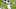 Keelan Cole, Chicago Bears