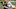Chicago Bears, Casey Hayward Chicago Bears, Casey Hayward