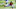 Chicago Bears, Eddie Jackson Chicago Bears, Eddie Jackson