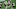 Chicago Bears, Eddie Jackson Chicago Bears, Eddie Jackson
