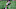 Chicago Bears Chicago Bears