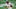 Chicago Bears, Anthony Miller Chicago Bears, Anthony Miller