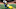Chicago Bears, Cameron McGrone Chicago Bears, Cameron McGrone