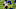 Chicago Bears, David Montgomery Chicago Bears, David Montgomery