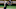 Chicago Bears, Jameis Winston Chicago Bears, Jameis Winston
