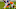 Chicago Bears Chicago Bears