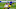Chicago Bears, Richard Sherman Chicago Bears, Richard Sherman