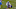 Chicago Bears, David Montgomery Chicago Bears, David Montgomery