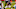 Chicago Bears, David Montgomery Chicago Bears, David Montgomery