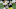 Chicago Bears, Matt Feiler Chicago Bears, Matt Feiler