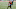 Chicago Bears, Tyler Boyd Chicago Bears, Tyler Boyd