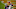Chicago Bears, Allen Robinson Chicago Bears, Allen Robinson