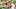 Chicago Bears, Justin Fields, Nicholas Petit-Frere Chicago Bears, Justin Fields, Nicholas Petit-Frere