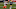 Chicago Bears, Amari Rodgers Chicago Bears, Amari Rodgers