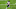 Chicago Bears, Allen Robinson Chicago Bears, Allen Robinson
