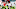 Chicago Bears, Alex Leatherwood