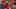 Chicago Bears, Kellen Mond Chicago Bears, Kellen Mond