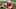 Chicago Bears, Justin Fields Chicago Bears, Justin Fields