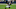 Chicago Bears, Damien Williams Chicago Bears, Damien Williams
