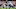 Chicago Bears, Detroit Lions Chicago Bears, Detroit Lions