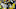 Chicago Bears, Rashan Gary Chicago Bears, Rashan Gary
