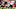 Chicago Bears, Justin Fields, Tampa Bay Buccaneers Chicago Bears, Justin Fields, Tampa Bay Buccaneers