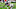 Chicago Bears, Roger McCreary Chicago Bears, Roger McCreary