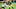 Chicago Bears, Davante Adams Chicago Bears, Davante Adams