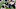 Chicago Bears, Defense Chicago Bears, Defense