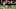 Chicago Bears, Jack Sanborn Chicago Bears, Jack Sanborn