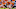 Randy Sartin-USA TODAY Sports Randy Sartin-USA TODAY Sports