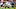 Mark J. Rebilas-USA TODAY Sports Mark J. Rebilas-USA TODAY Sports