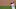 Baltimore Orioles Baltimore Orioles