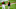 Baltimore Orioles Baltimore Orioles